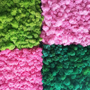 Prix bas, mousse de renne, mousse conservée, mousse stabilisée, panneau mural décoratif pour l'art mural, décoration intérieure - Product Image 5