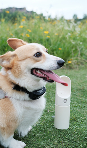 Botella de agua de viaje para perros de acero inoxidable con aislamiento de doble pared para exteriores, dispensador de agua portátil a prueba de fugas para mascotas, bebida para perros - Product Image 2