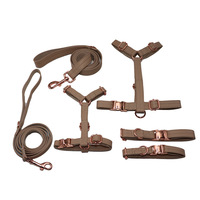 Collare, Guinzaglio e Pettorina in Materiale PU per Cani di Piccola e Media Taglia, Accessori per Animali Domestici