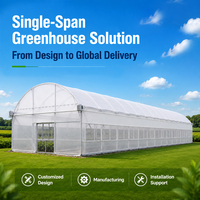 Serre tunnel hydroponique intelligente à climatisation contrôlée de 500 m² pour semis de tomates, tunnel unique à voûte haute