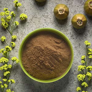 <span class=keywords><strong>Astragalus</strong></span> Polysaccharide 50%-90% nội dung tiêu chuẩn chiết xuất tập trung cấp thực phẩm tan trong nước bột tại chỗ - Product Image 1