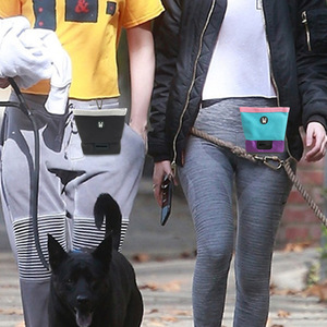 Sac banane portable pour dressage d'animaux, en tissu Oxford imperméable, avec blocs de couleur, pour friandises pour chien, fournitures d'extérieur, vert, noir, bleu - Product Image 1