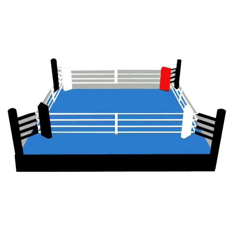 Hot Sales Custom Logo International Standard