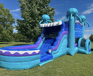 Castillo Inflable, Brincolín Inflable, Casa de Brinco Inflable Comercial, Castillo Inflable de Medusas - Product Image 2
