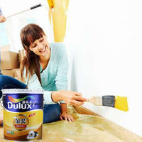 Décoration d'ingénierie durable Arts décoratifs professionnels Peinture au latex en émulsion Dulux pour revêtement mural intérieur