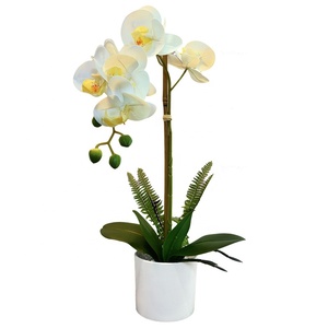 Vendeur chaud Real Touch fleurs d'orchidées artificielles pour la décoration <span class=keywords><strong>de</strong></span> la maison <span class=keywords><strong>Pot</strong></span> <span class=keywords><strong>Culture</strong></span> déc. Fleurs artificielles dans des pots décoratifs - Product Image 1