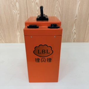 Аккумулятор LiFePO4 60В 50Ач для двух- и трехколесных электромобилей, со встроенной BMS и по заводской цене - Product Image 1