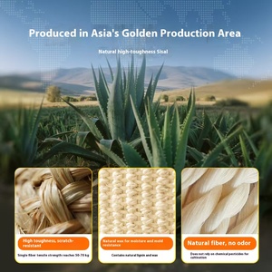 Producto auténtico, rascador de gato, Material de Sisal de pared de alta calidad y resistente en la pared o sofá, juguetes interesantes <span class=keywords><strong>para</strong></span> <span class=keywords><strong>gatos</strong></span> - Product Image 3