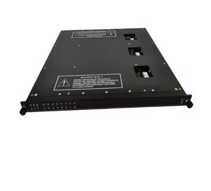 Módulo de Salida Digital de Acero Inoxidable 3625A TRICONEX para Sistemas de Control Programables, Equipos Electrónicos de Potencia - Product Image 4