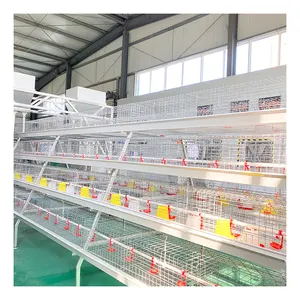 Poultry Battery Cage For Nigerian Farm