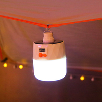 Ampoule LED solaire rechargeable par USB 80W avec indice de protection IP65, double couleur de lumière (chaud/blanc), certifiée CE et RoHS, à intensité variable pour le camping