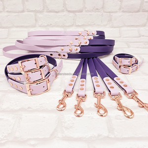 Correa de perro de <span class=keywords><strong>color</strong></span> combinado a la moda con <span class=keywords><strong>collar</strong></span> a juego con gancho bonito soporte de plomo de perro impermeable duradero personalizar <span class=keywords><strong>Color</strong></span> y tamaño - Product Image 5