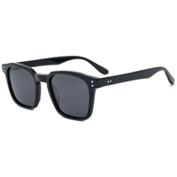 Lunettes de soleil polarisées HD personnalisées unisexes haut de gamme, nouveau design, montures en acétate, charnières métalliques, 5 couleurs, dernières tendances