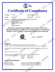 Kit de Electrodo de Encendido para Calderas de Gas con Material Cerámico - Product Image 6