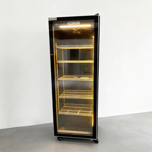 Refrigerador Vertical de Una Puerta con Ventilador para Bebidas, Equipo de Refrigeración Comercial - Product Image 5