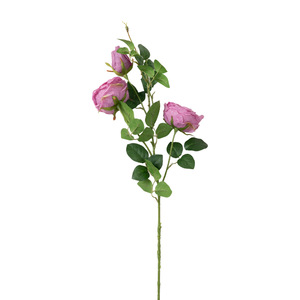 Flores Artificiales de Rosa Austin con Pétalos Suaves, Estándar, Hechas en China, Fondo para Fotografía de Estudio, Decoración para Pasillos de Bodas - Product Image 5