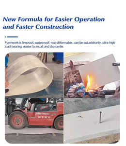 Coffrage en plastique de conception moderne aucun panneaux concrets de forme de déformation qui résistent à la haute température - Product Image 5