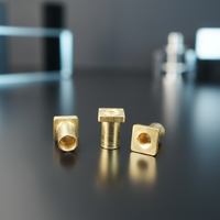 Rivets électriques en laiton M3*8mm, borniers creux en laiton montés sur plaque de prise EU