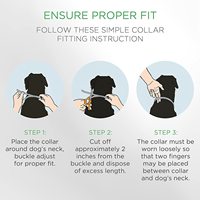 Lot de 3 extracteurs de tiques personnalisables avec logo – Outil de retrait rapide et sûr pour chiens, chats, animaux domestiques, humains et chevaux