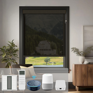SAMADHI High-quality Intelligence Electric Intelligence Remote Control Without Drilling Holes Motorized Roller Blind for <b>Window</b> - Product Image 1