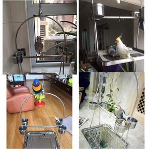 Bumo Best Seller paslanmaz çelik papağan ayakta levrek papağan kuş levrek eğitim <span class=keywords><strong>stand</strong></span>ı için taşınabilir malzemeleri - Product Image 4