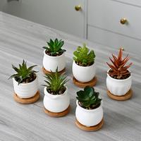 Kit de petits pots de fleurs charnus émaillés en céramique blanche pour le jardinage moderne petits pots de plantation en céramique