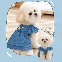 Manteaux rayés en jean pour chiens et chats, à manches volantées, avec anneau de laisse, pour Halloween, tenues créatives pour petits chiens de type Chihuahua, accessoire pour chiot