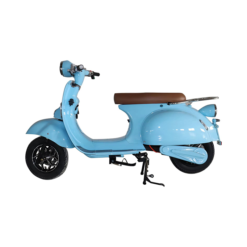 EEC COC Classic Vintage 1000w 2000w