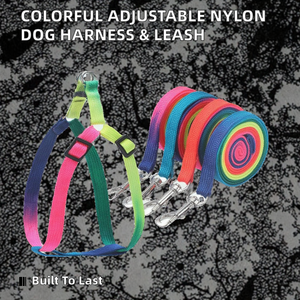 Coleira para Cães Decorada com Fita de Nylon Colorida Ajustável e Ecológica, Atacado de Fábrica - Product Image 2