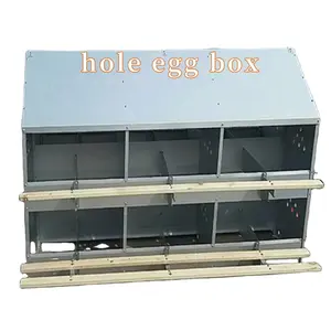 Gia cầm Thiết bị nuôi gà trứng làm tổ hộp để bán