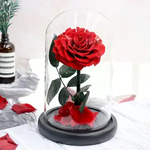 Valentines day colorful good fragrance forever flower with stem customized gift box eternal rose preserved flower in glass dome