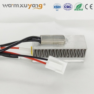 Elemento calefactor de cerámica termostático al por mayor, elemento calefactor de aire PTC de 24V-230V para calentadores domésticos, hoteles y restaurantes - Product Image 4
