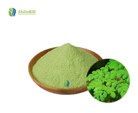 SLBIO Supply Grosir Ekstrak Daun Moringa Bubuk Hijau Grade Makanan 1kg
