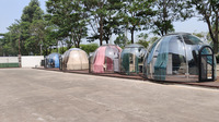 Dôme de glamping en polycarbonate transparent pour l'hiver, conception chinoise, chambre en forme de bulle