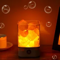 도매 최고의 선물 히말라야 크리스탈 소금 LED 밤 소금 램프 공기 청정기 빛 밤 핑크 색상 변경 소금 램프