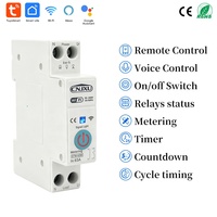 Interruptor de Circuito Inteligente WiFi de 63A, Monitoreo de KWh, Protección Contra Sobrecorriente y Sobretensión, Temporizador, Relé, Tuya Smart Life