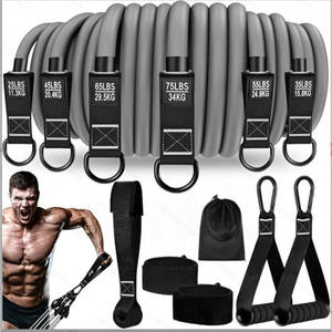 Ensemble de tubes de résistance réglables de 300 lb, 12 pièces, tubes d'entraînement à domicile pour la mise en forme du corps, la rééducation et les exercices - Product Image 3
