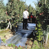 Film métallisé réfléchissant agricole à prix avantageux pour paillis plastique et couverture du sol