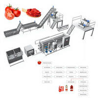 Volledig automatische industriële tomatenpuree- en sapverwerkingsmachine van roestvrij staal SUS304/316 voor productie in een fabriek