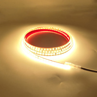 Bande lumineuse LED blanche chaude en plastique IP68 AC220V, vente chaude, décoration extérieure pour jardin, hôtel, piscine, cour, paysage