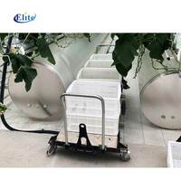 Chariot de récolte monocouche pour la cueillette de tomates chariot à outils simple outils de transport de rail de tuyau pour serre