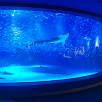 Aquarium en acrylique, Transparent, grand chantier populaire en chine, pour aquarium collection, #