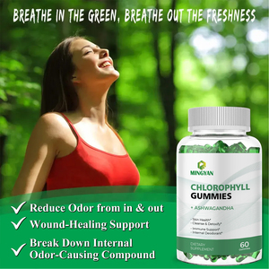 Complément alimentaire Ashwagandha, vitamines et minéraux, marque privée OEM, stimulant d'énergie naturel pour la santé digestive et le soutien immunitaire - Product Image 2