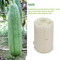 Éponge exfoliante longue en loofah naturel 100 % écologique et durable pour le corps, marque distributeur, 4-6 pouces