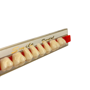 Resina acrílica Dientes sintéticos Servicio OEM Resina dental Dientes postizos Dentaduras - Product Image 4