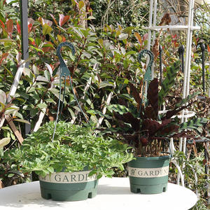 <span class=keywords><strong>Maceta</strong></span> <span class=keywords><strong>colgante</strong></span> <span class=keywords><strong>de</strong></span> <span class=keywords><strong>plástico</strong></span> con forma <span class=keywords><strong>de</strong></span> Orquídea, <span class=keywords><strong>maceta</strong></span> para espesamiento hortícola, suculenta, hierba <span class=keywords><strong>de</strong></span> nabo verde - Product Image 5