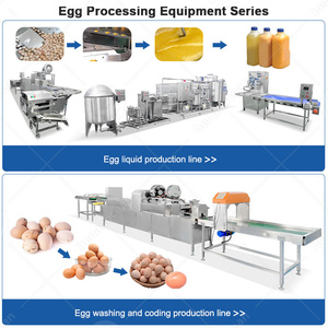 Macchina Automatica OCEAN per la Selezione e Pulizia delle Uova, Classificatore di Uova con Luce da Tavolo e Lavaggio, per le Filippine - Product Image 6