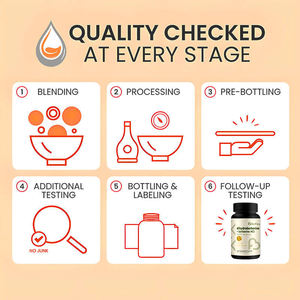 Cápsulas de Berberina para el Cuidado <span class=keywords><strong>Intestinal</strong></span>, Equilibran la <span class=keywords><strong>Flora</strong></span> <span class=keywords><strong>Intestinal</strong></span>, Inhiben las Bacterias Dañinas, Mejoran la Digestión, Aumentan la Inmunidad, Sin GMO - Product Image 5