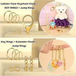 Keychain Kit Key Ring Lobster Claw Clasps Swivel Snap Hook Extender Chain for Crafts DIY Projects and Jewelry Making - Product Image 2
