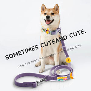 Suministro de fábrica DIY <span class=keywords><strong>PVC</strong></span> suave juego de arnés para perros correa ajustable para perros <span class=keywords><strong>Collar</strong></span> para mascotas con dijes para caminar correr senderismo Camping - Product Image 6